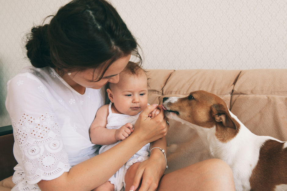 The Complete Guide to Introducing Pets to a New Baby