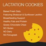 Lactation Cookies